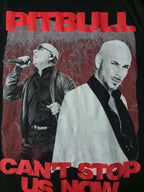 Pitbull Style Musique Rap Concert Tshirt Vintage 2022 Taille L Noir Excellent etat